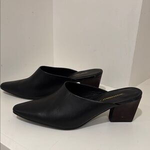 Black Leather Mules with Pointed Toe and Block Heel